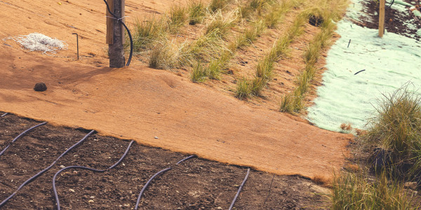 Sistemas de drenaje sostenible (SUDS): qué son y qué materiales llevan